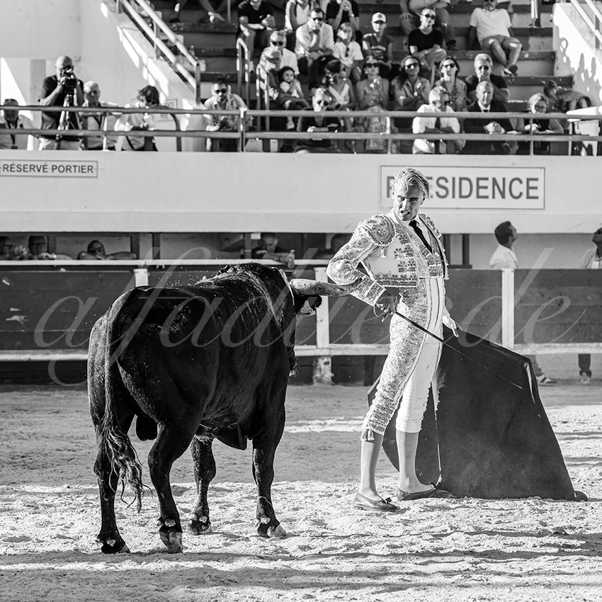 20250803 les stes 023