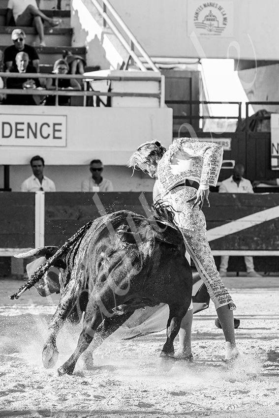 20250803 les stes 022