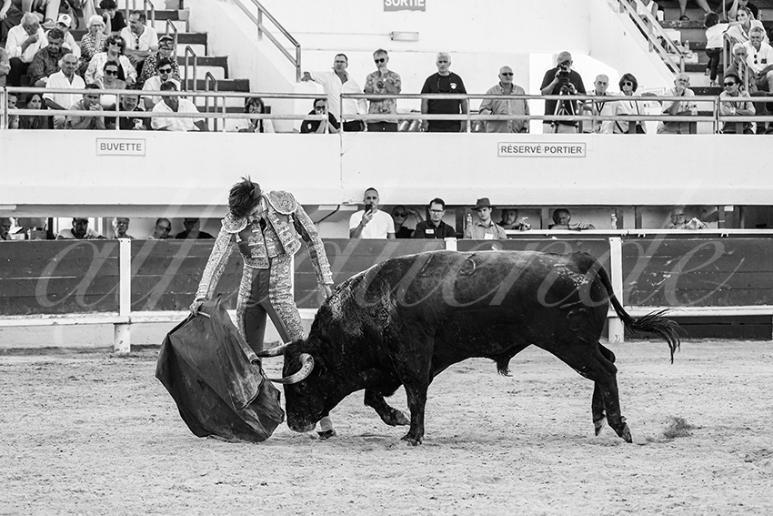 20250803 les stes 019