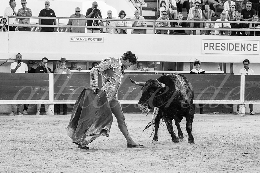 20250803 les stes 018