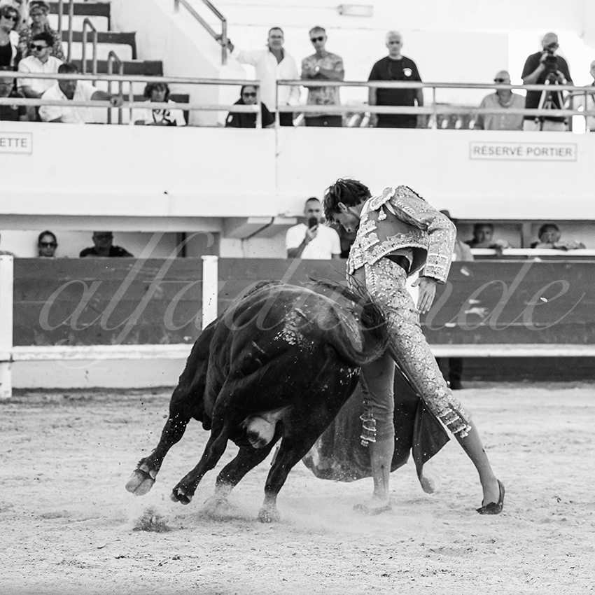 20250803 les stes 017