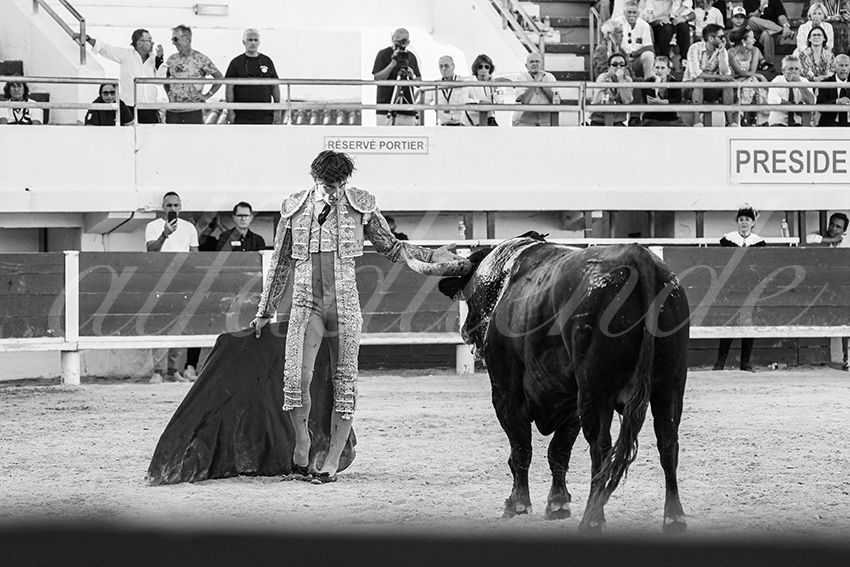 20250803 les stes 016