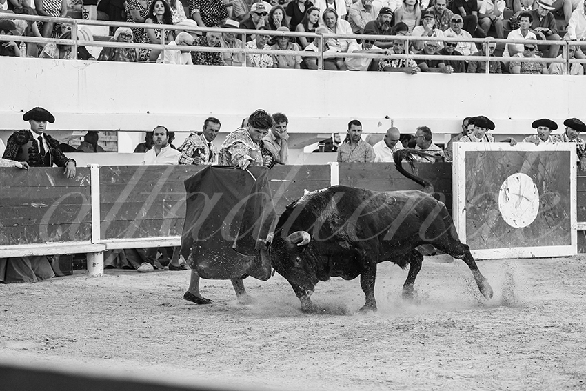 20250803 les stes 014