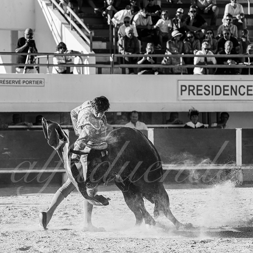 20250803 les stes 013