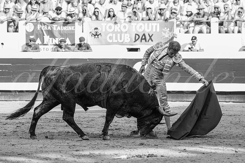 20250814 dax by alfaduende 012