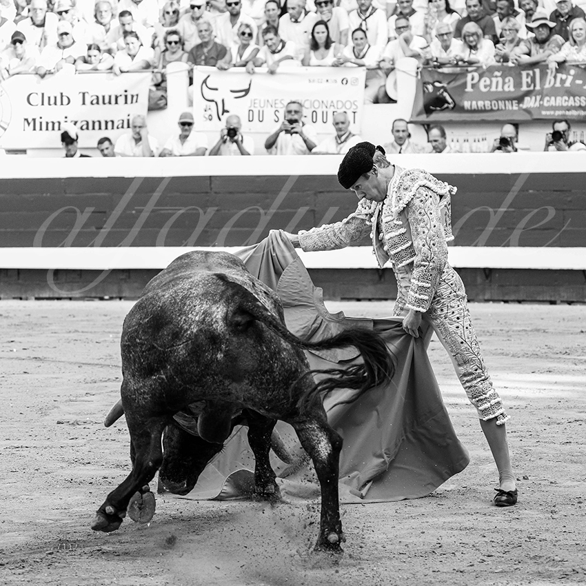 20250814 dax by alfaduende 011