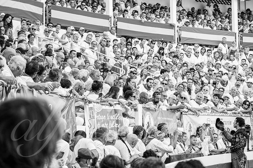 20250814 dax by alfaduende 007