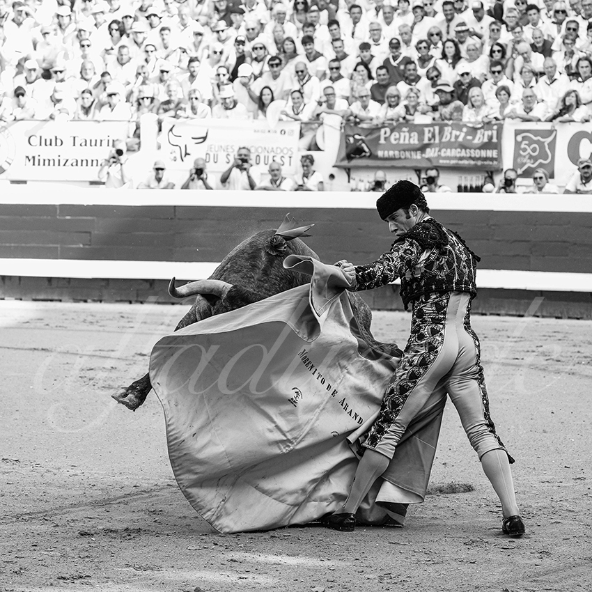 20250814 dax by alfaduende 003