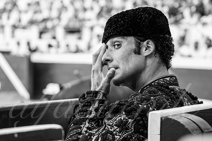 20250814 dax by alfaduende 002