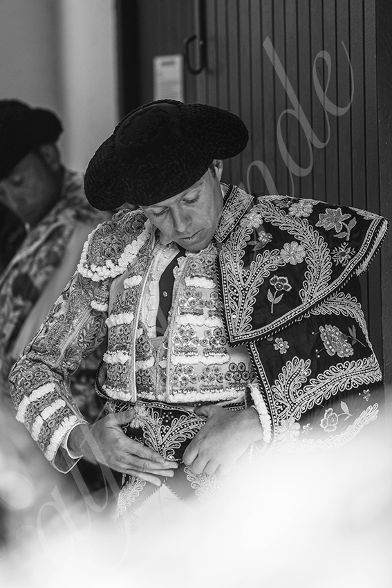 20250814 dax by alfaduende 001