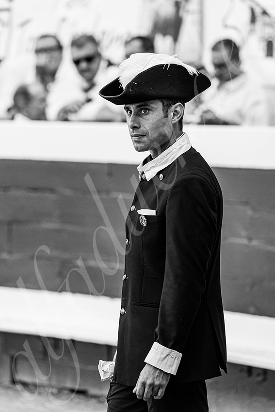 20250814 dax by alfaduende 024