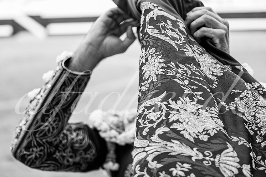 20250814 dax by alfaduende 023