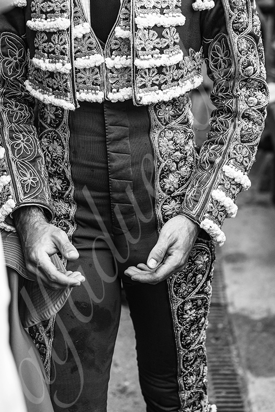 20250814 dax by alfaduende 022