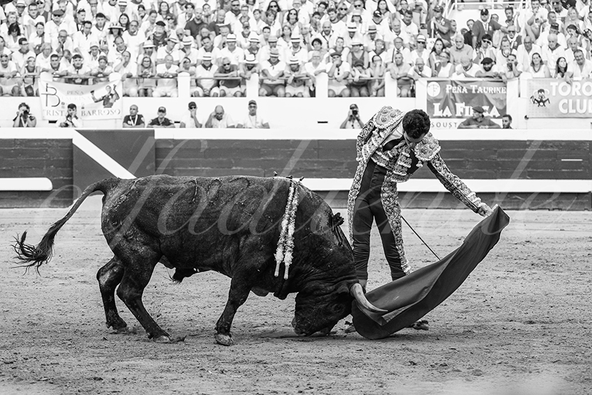 20250814 dax by alfaduende 021