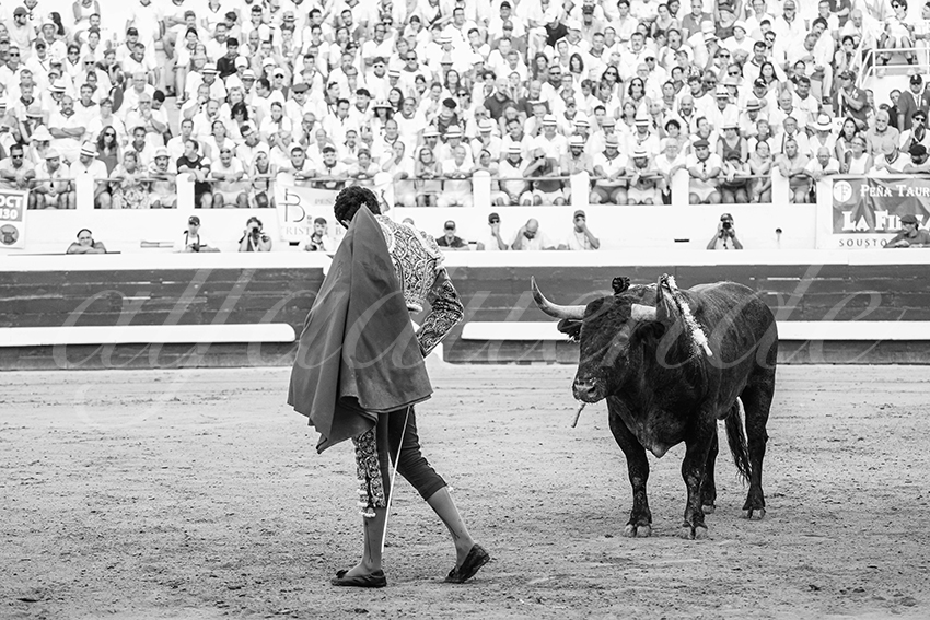 20250814 dax by alfaduende 020