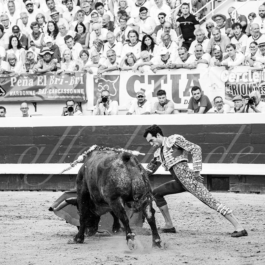 20250814 dax by alfaduende 019