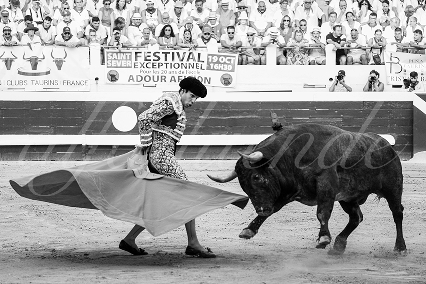 20250814 dax by alfaduende 018