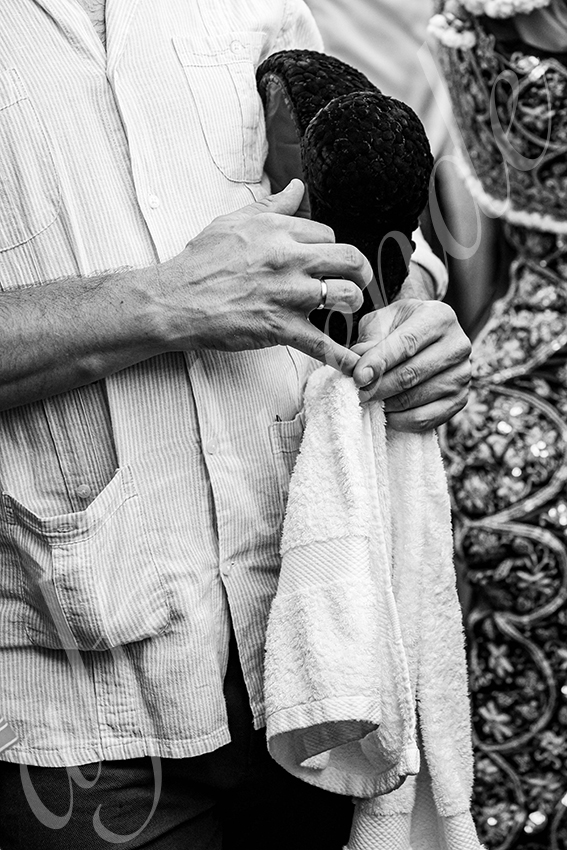 20250814 dax by alfaduende 016