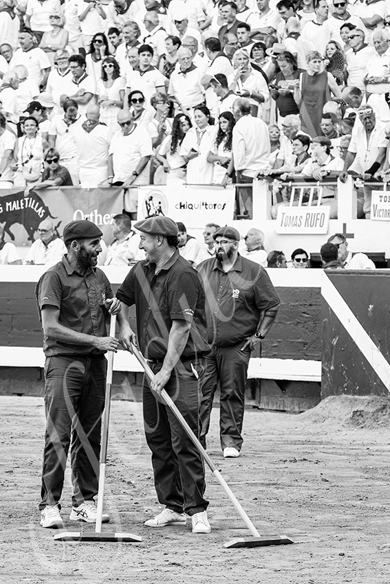 20250814 dax by alfaduende 015