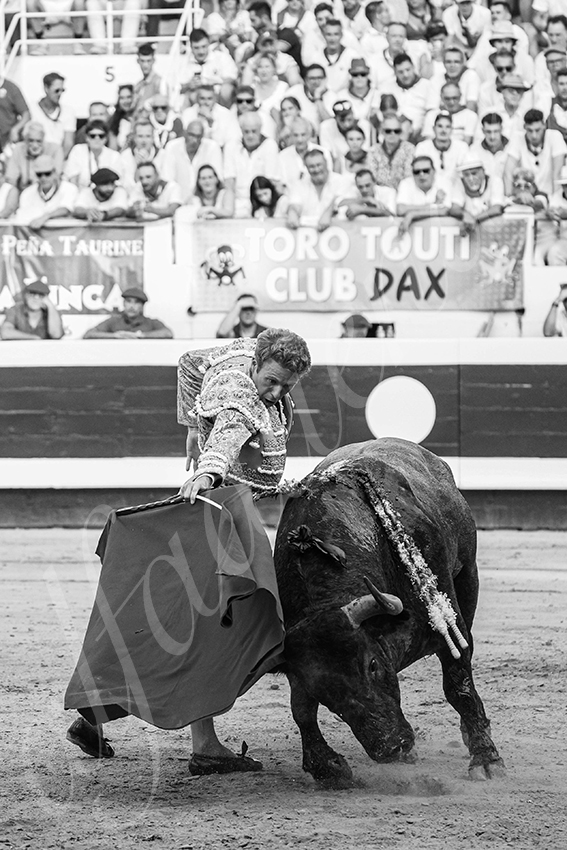 20250814 dax by alfaduende 014