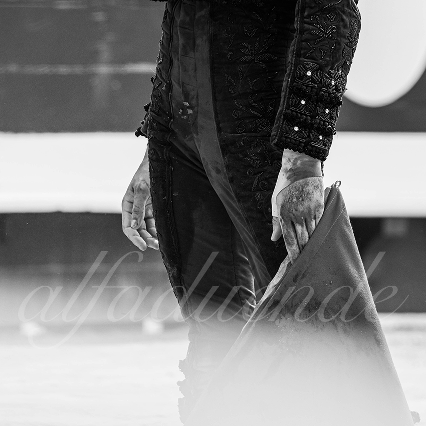 20250816 dax nov by alfaduende 036