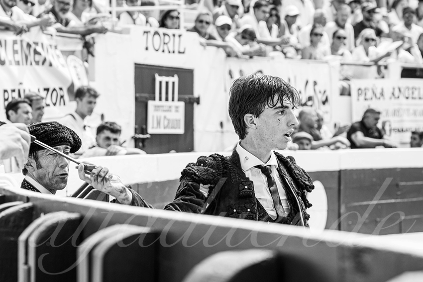 20250816 dax nov by alfaduende 035