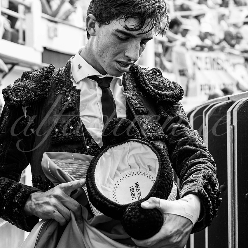 20250816 dax nov by alfaduende 030