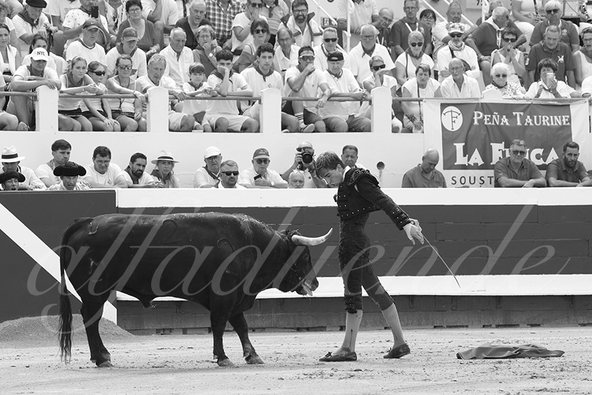 20250816 dax nov by alfaduende 029