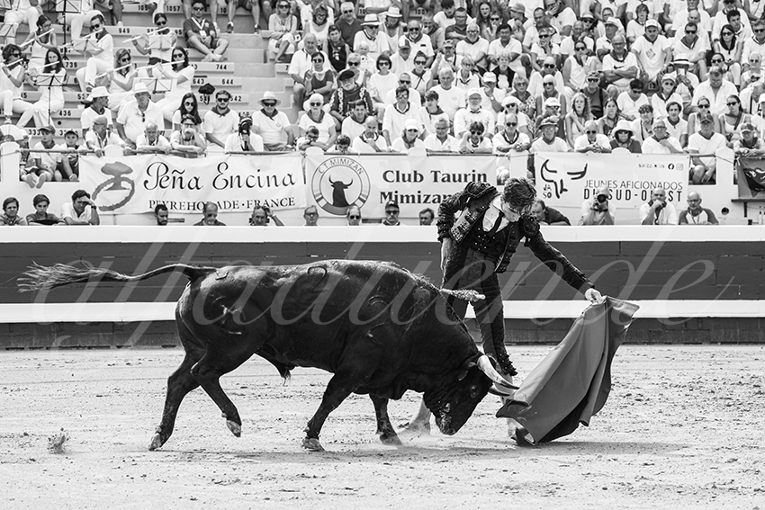 20250816 dax nov by alfaduende 028