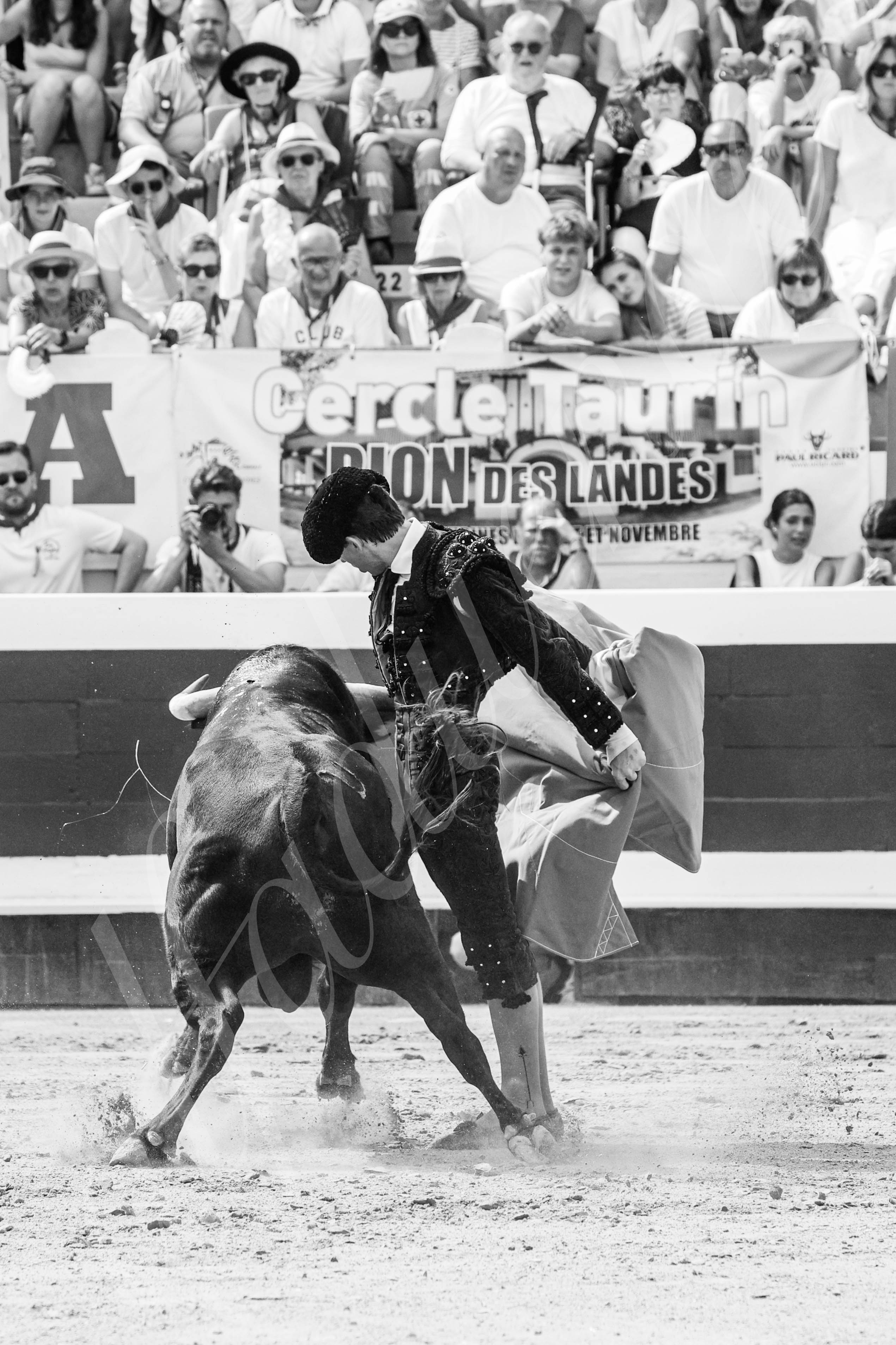 20250816 dax nov by alfaduende 025