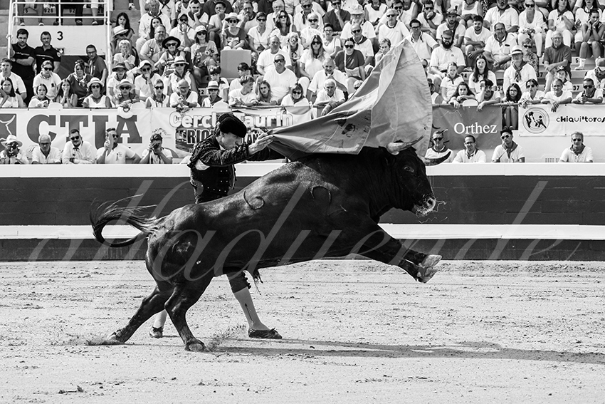 20250816 dax nov by alfaduende 021