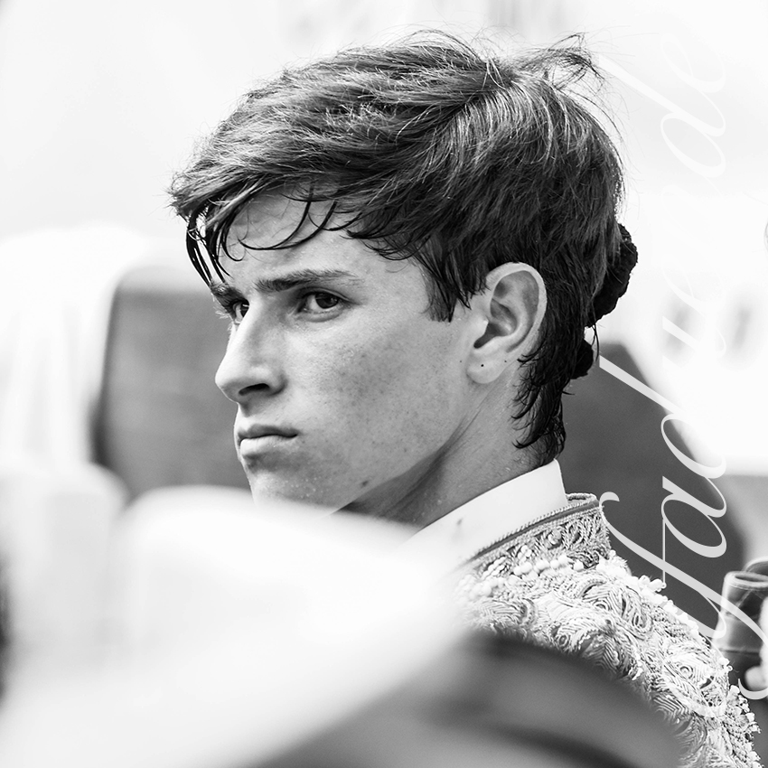 20250816 dax nov by alfaduende 020