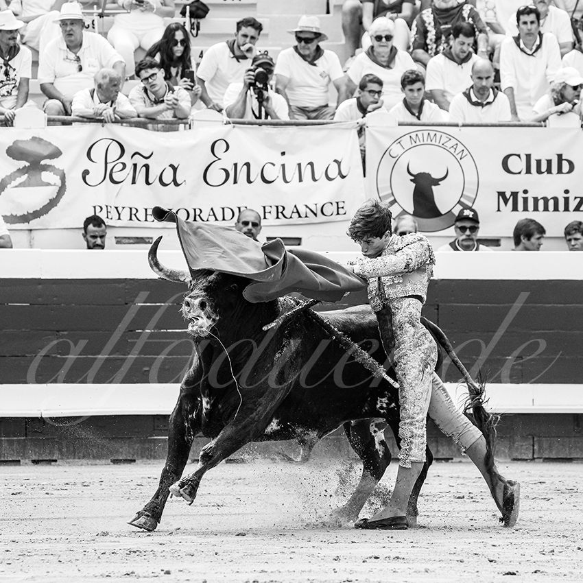 20250816 dax nov by alfaduende 019