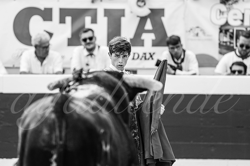 20250816 dax nov by alfaduende 018