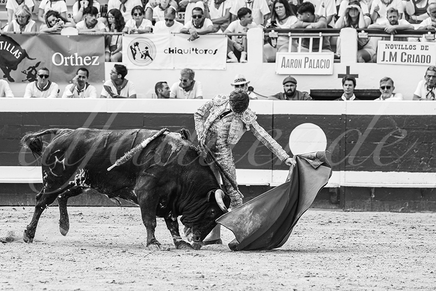 20250816 dax nov by alfaduende 017