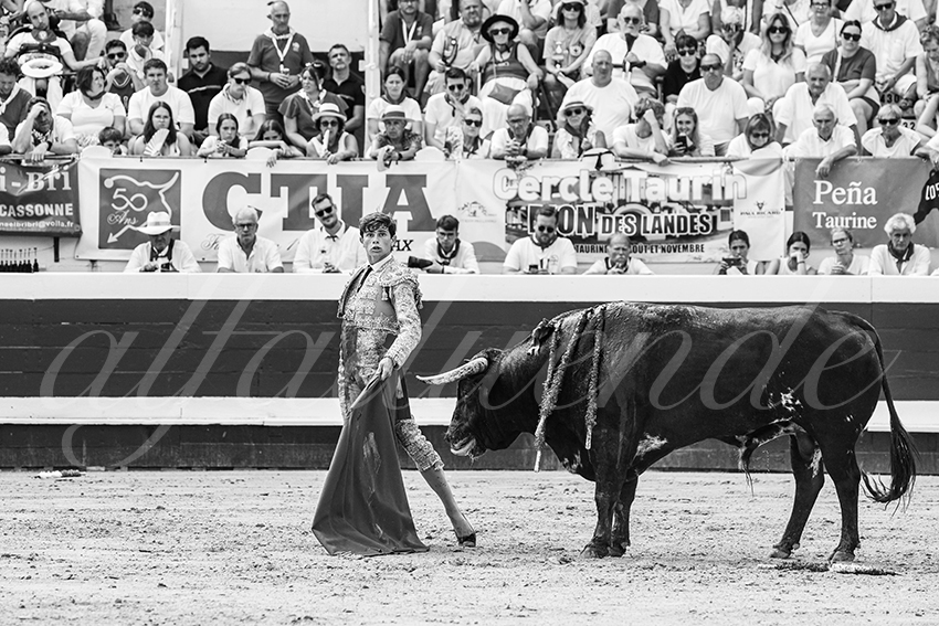 20250816 dax nov by alfaduende 016