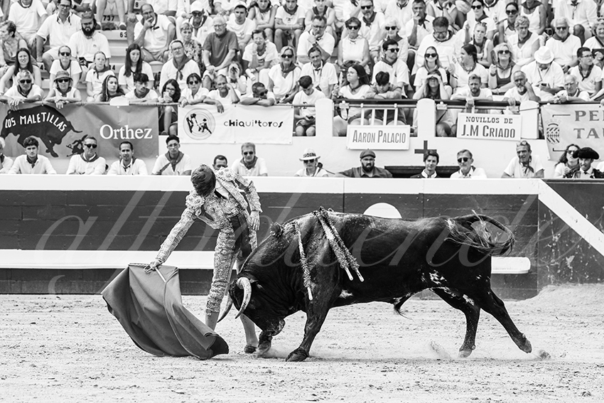 20250816 dax nov by alfaduende 015