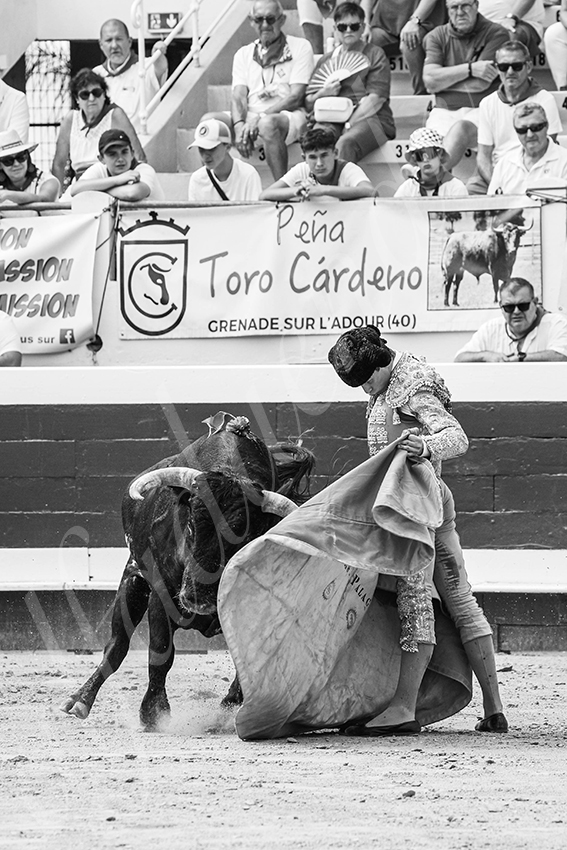 20250816 dax nov by alfaduende 013