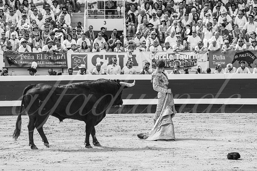 20250816 dax nov by alfaduende 012