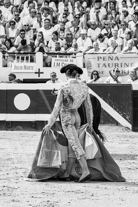 20250816 dax nov by alfaduende 009