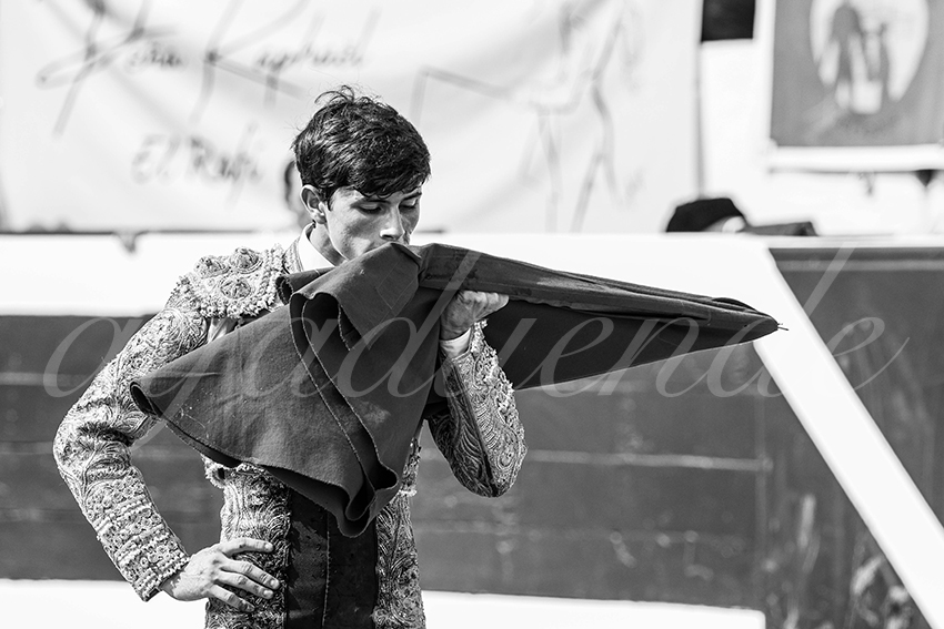 20250816 dax nov by alfaduende 008