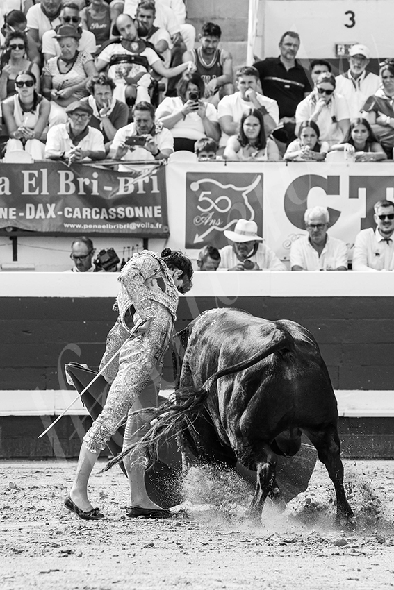 20250816 dax nov by alfaduende 006