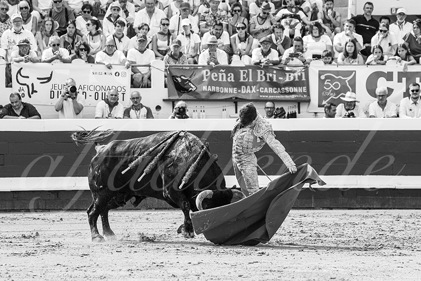 20250816 dax nov by alfaduende 005