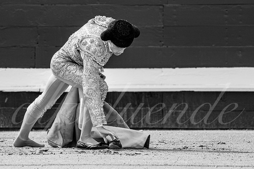 20250816 dax nov by alfaduende 003