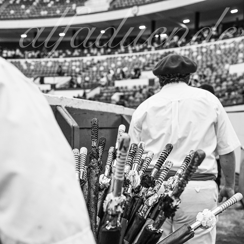 20250818 bilbao by alfaduende 026