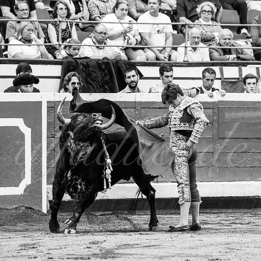 20250818 bilbao by alfaduende 024