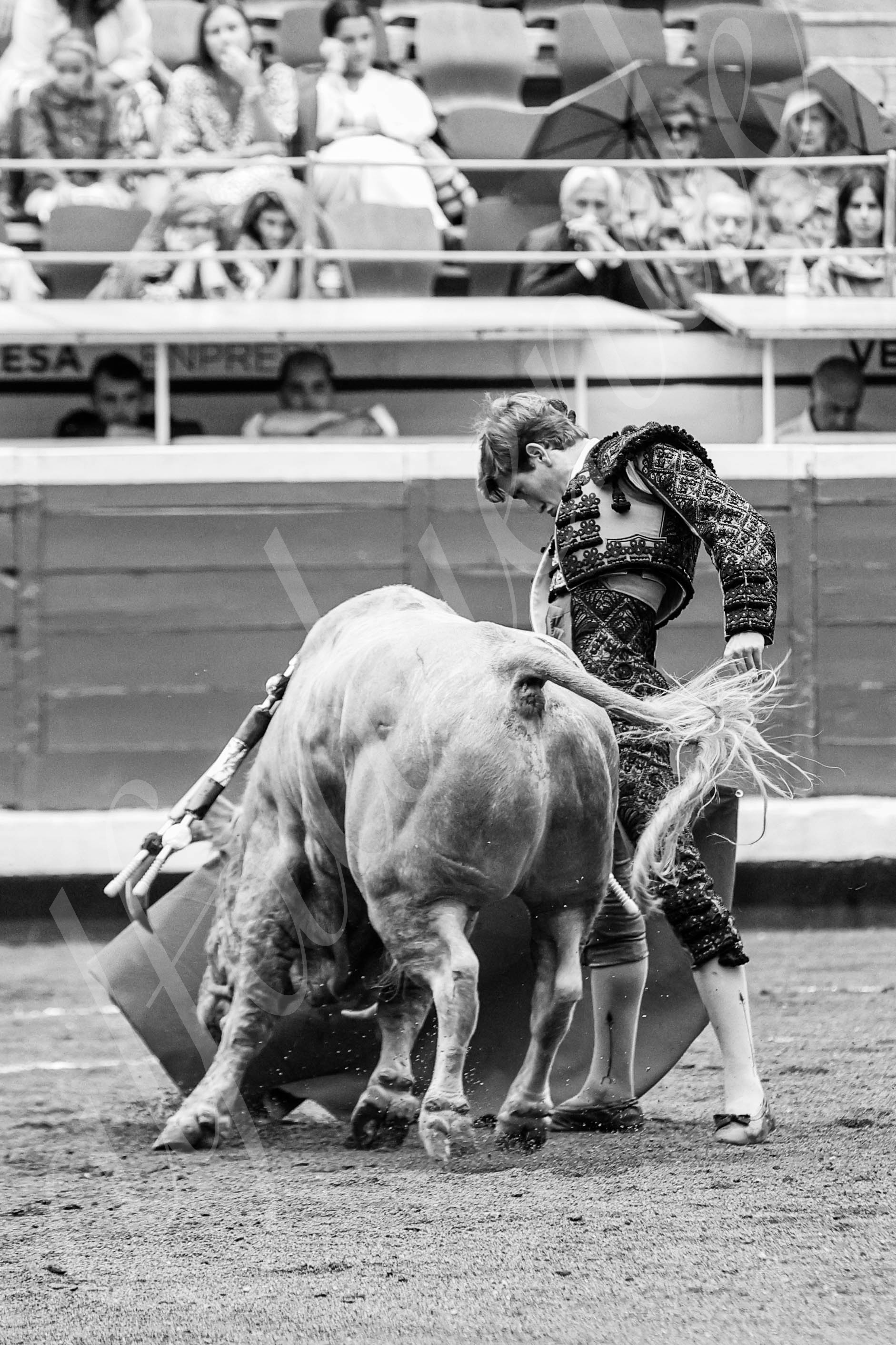 20250818 bilbao by alfaduende 020