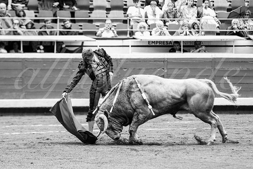 20250818 bilbao by alfaduende 019