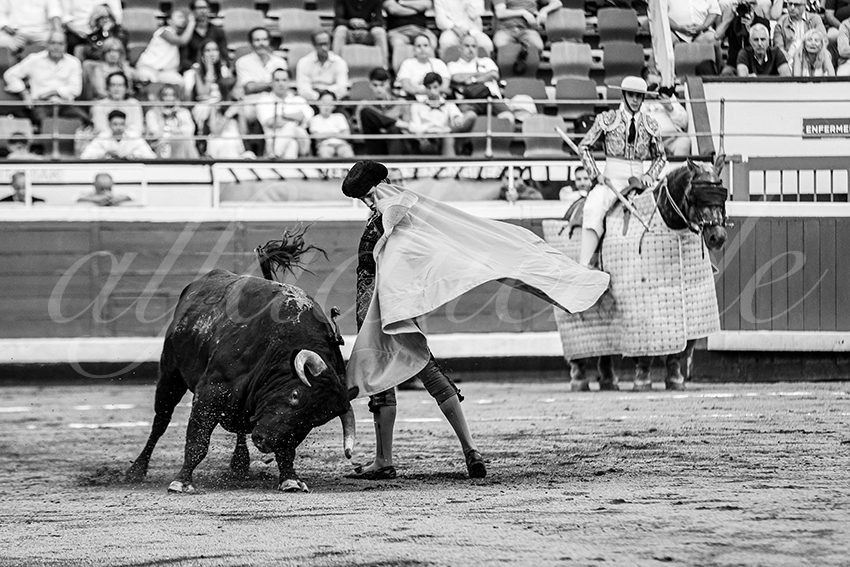 20250818 bilbao by alfaduende 013