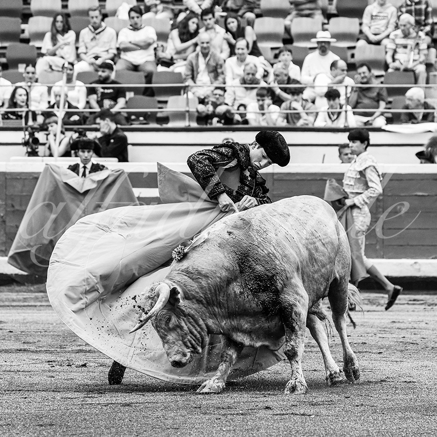 20250818 bilbao by alfaduende 012